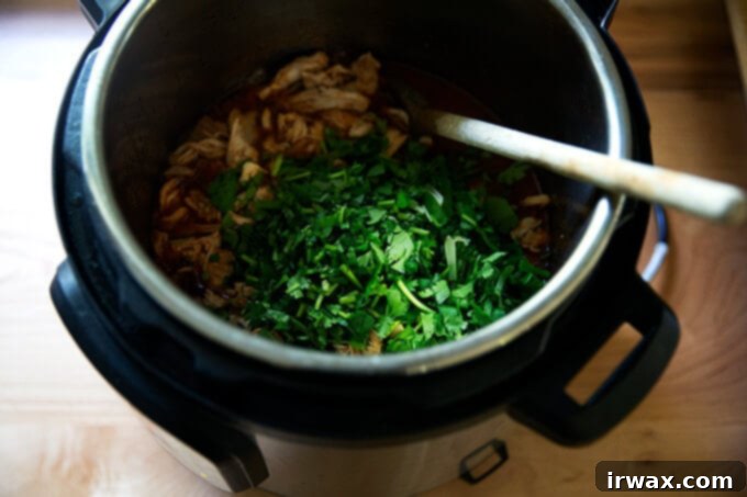 Κοτόπουλο Τίνγκα της Στιγμής 12 Μια Instant Pot που περιέχει κοτόπουλο Tinga με προστιθέμενο κόλιανδρο.