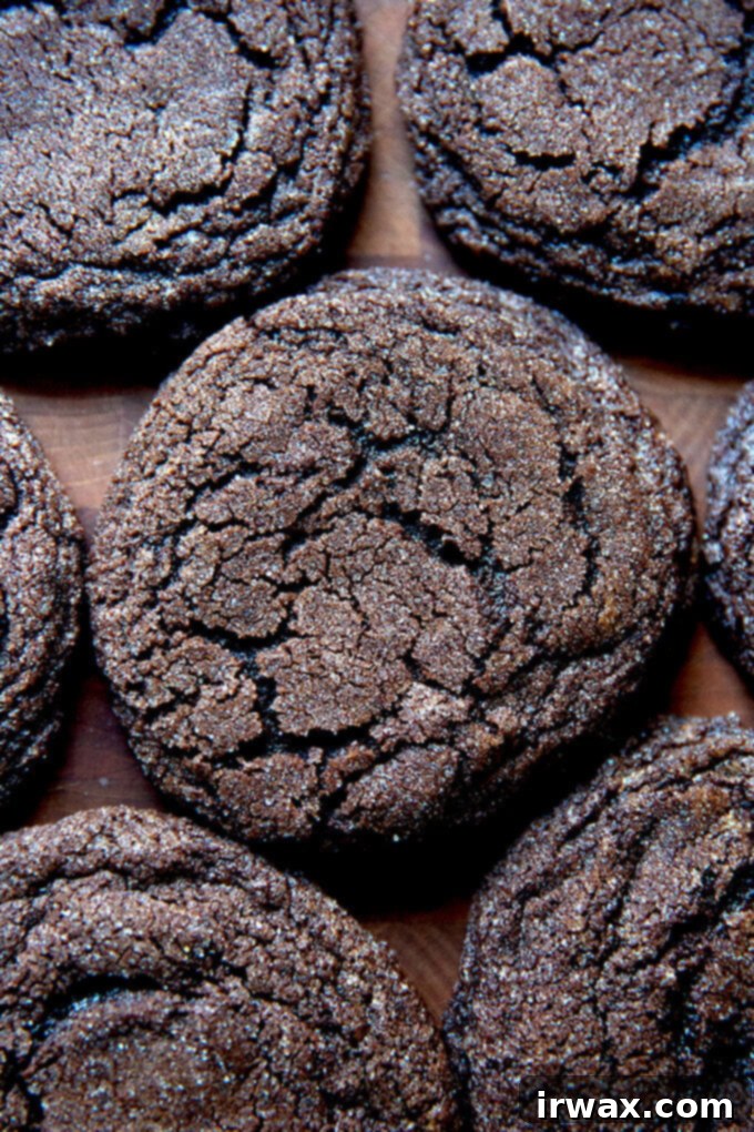 Μαστιχωτά Σοκολατένια Μπισκότα 2 Baked, chocolate sugar cookies.