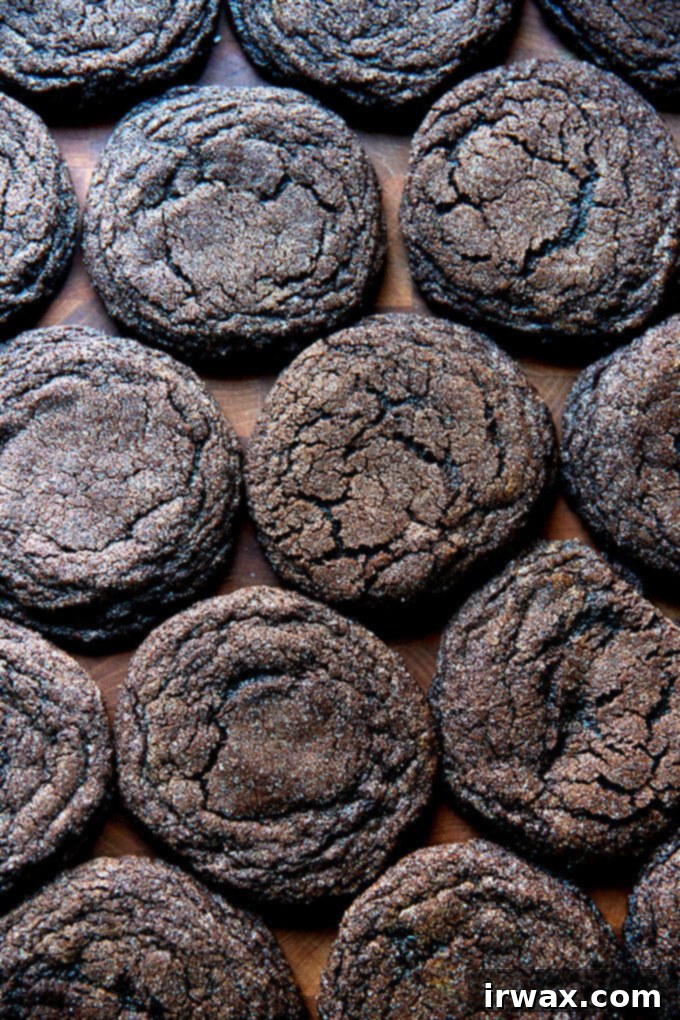 Μαστιχωτά Σοκολατένια Μπισκότα 11 Baked chocolate sugar cookies on a board.