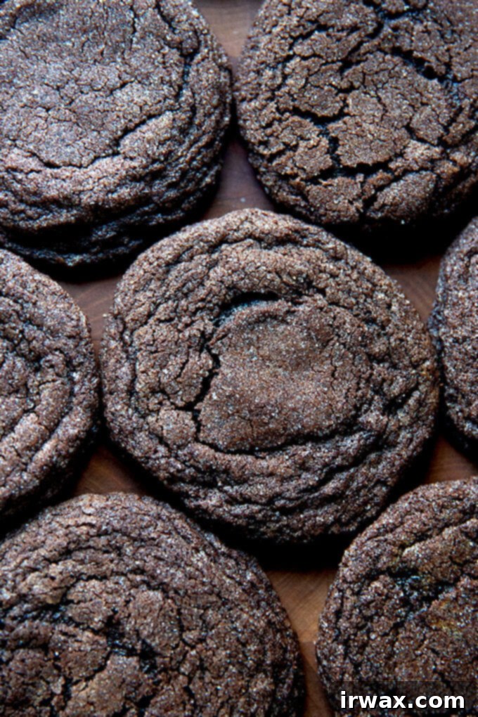 Μαστιχωτά Σοκολατένια Μπισκότα 12 Baked chocolate sugar cookies.