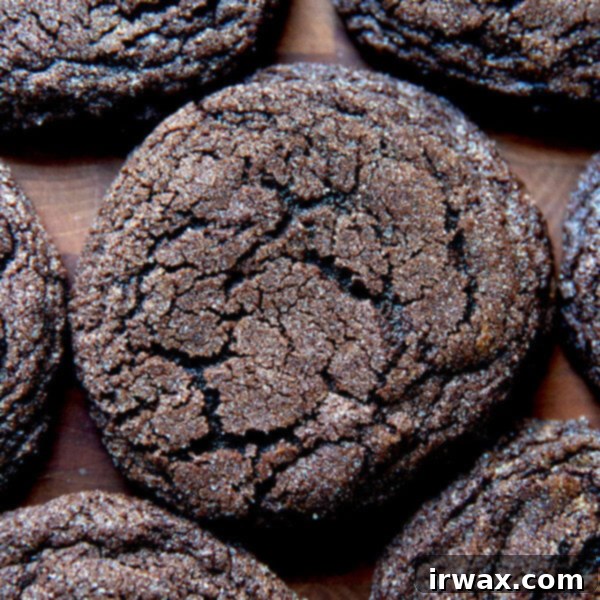 Μαστιχωτά Σοκολατένια Μπισκότα 13 Baked, chocolate sugar cookies.