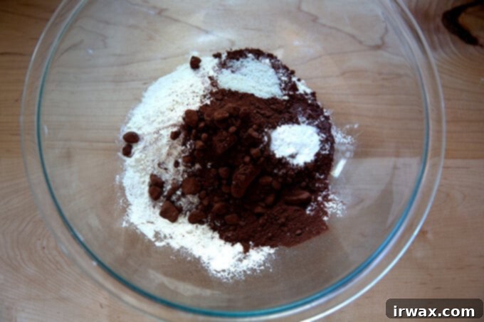 Μαστιχωτά Σοκολατένια Μπισκότα 4 Dry ingredients in a bowl for chocolate sugar cookies.