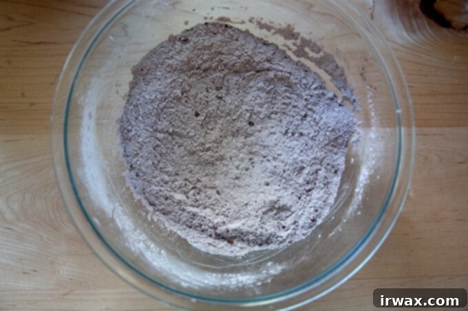 Μαστιχωτά Σοκολατένια Μπισκότα 5 Dry ingredients for chocolate sugar cookies, whisked together.