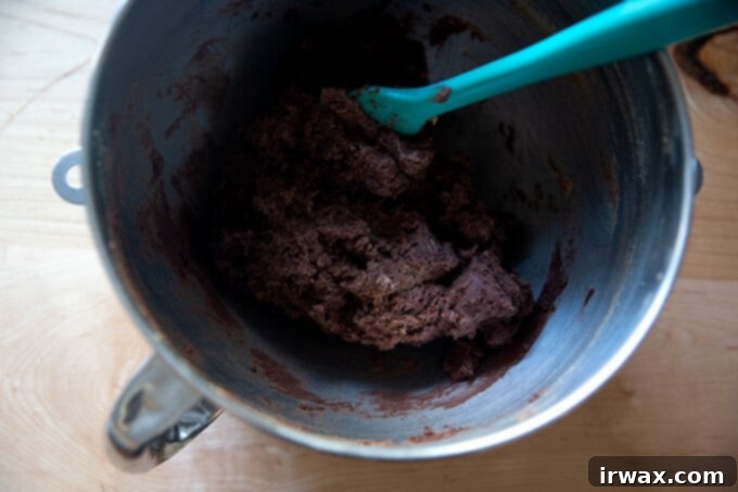 Μαστιχωτά Σοκολατένια Μπισκότα 8 Chocolate sugar cookie dough all mixed together.