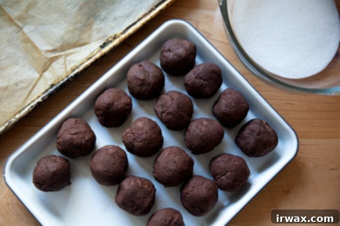 Μαστιχωτά Σοκολατένια Μπισκότα 9 Portioned chocolate sugar cookie dough balls.