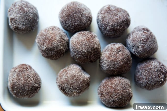 Μαστιχωτά Σοκολατένια Μπισκότα 10 Portioned chocolate sugar cookie balls, rolled in sugar.