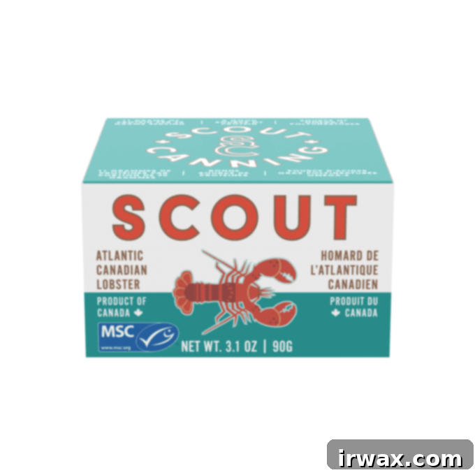 Ιδέες Δώρων για τις Γιορτές 2021 15 Αστακός Scout