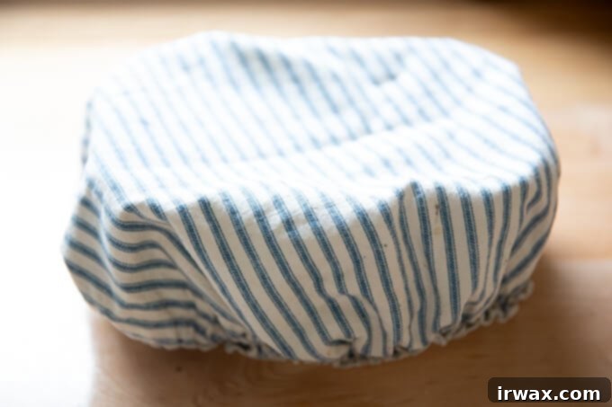 Απλή Προζυμένια Τσιαμπάτα 11 Σκεπασμένο Tupperware που περιέχει ζύμη προζυμένιας τσιαπάτας.