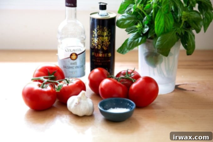 Σπιτική Σάλτσα Μπρουσκέτας τύπου Trader Joe's 4 Υλικά για να φτιάξετε σπιτική σάλτσα μπρουσκέτας.