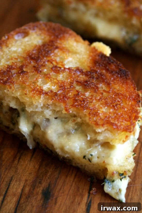 ψητό τυρί με Comté, θυμάρι & ασκαλώνια ψητό τυρί με Comté, θυμάρι & ασκαλώνια