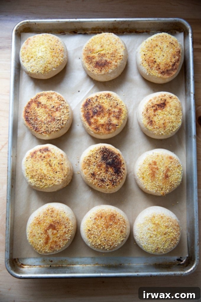 Σπιτικά Προζυμένια Αγγλικά Μάφιν 30 English muffins στο φούρνο