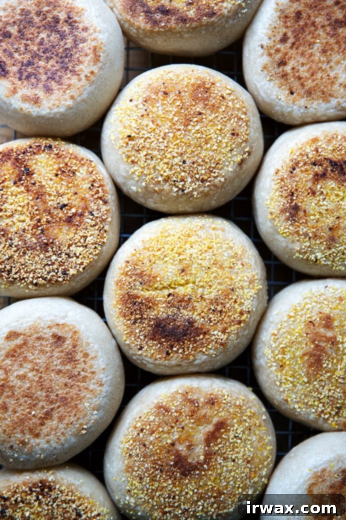 Σπιτικά Προζυμένια Αγγλικά Μάφιν 31 Ψημένα English muffins στο ταψί