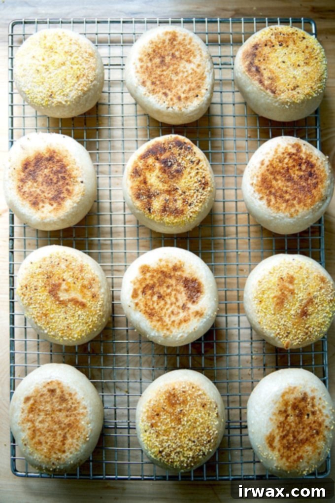 Σπιτικά Προζυμένια Αγγλικά Μάφιν 32 Αφράτα English muffins έτοιμα από τον φούρνο