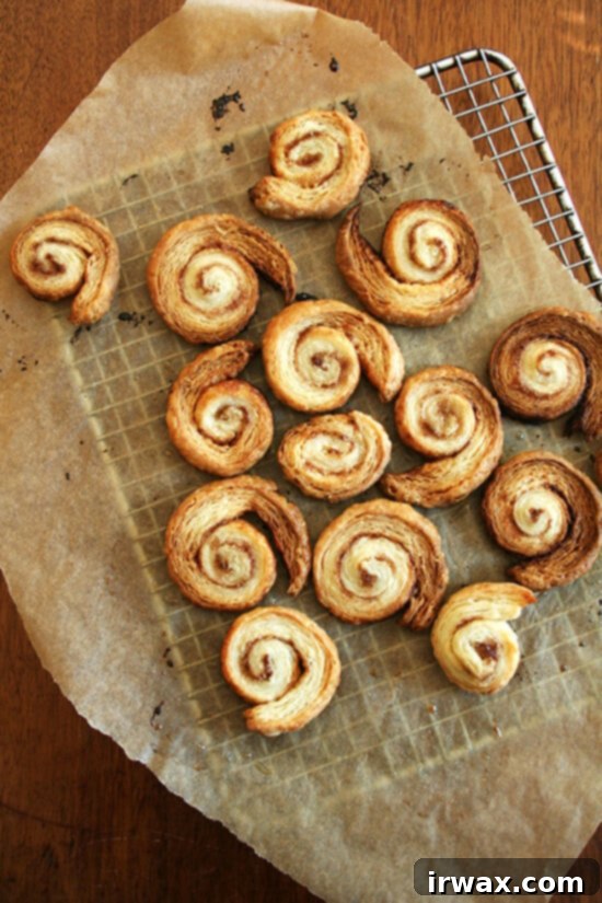cinnamon snails, made with leftover dough Κανελόψωμα, φτιαγμένα με την περίσσια ζύμη της τάρτας μήλου.