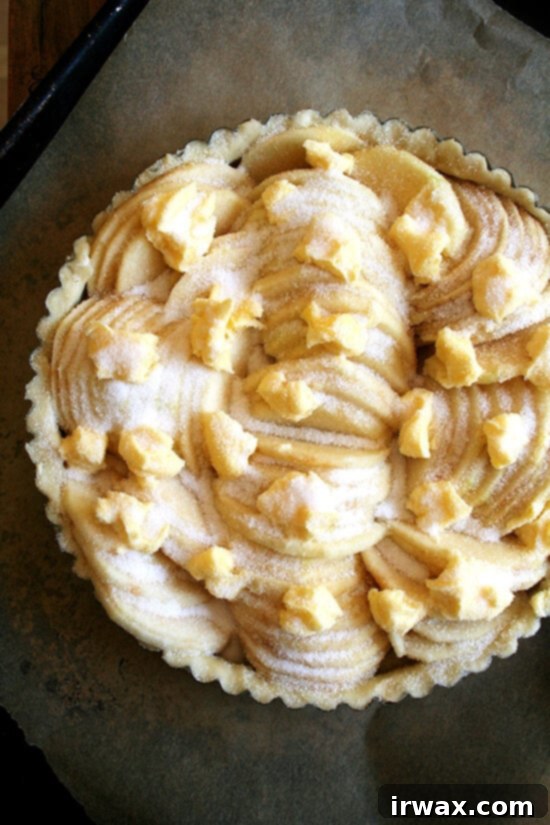 tart, ready for the oven Τάρτα έτοιμη για το φούρνο, με τα μήλα όμορφα διατεταγμένα.