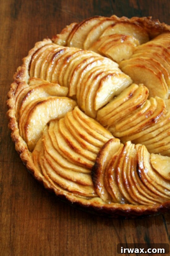 Brimming with fanned apple slices, this French apple tart makes for a beautiful finale to any fall dinner. Peeling and slicing do take a bit of time, but the effort is worth the reward, and results in a most delectable and elegant dessert! // alexandracooks.com Γεμάτη με απλωμένες φέτες μήλου, αυτή η Γαλλική Τάρτα Μήλου αποτελεί ένα όμορφο φινάλε για κάθε φθινοπωρινό δείπνο. Το ξεφλούδισμα και το κόψιμο απαιτούν λίγο χρόνο, αλλά η προσπάθεια αξίζει την ανταμοιβή και οδηγεί σε ένα πιο απολαυστικό και κομψό επιδόρπιο!