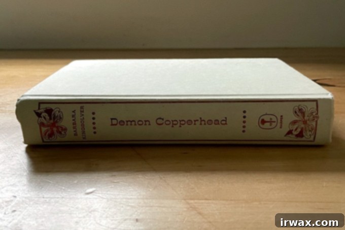 Οδηγός Δώρων 2023 26 Demon Copperhead, ένα βιβλίο.