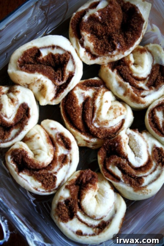 cinnamon rolls, ready to rise A 9-inch pan filled with cut cinnamon rolls, ready to rise.
