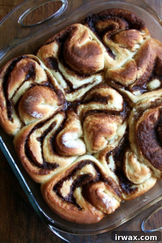 cinnamon rolls, just baked A pan of cinnamon rolls, just baked.