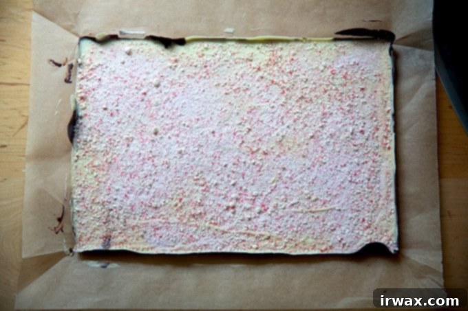 Μέντα Φλοιός με Σκόνη Μέντας 16 A full sheet of uncut peppermint bark on a sheet of parchment paper.