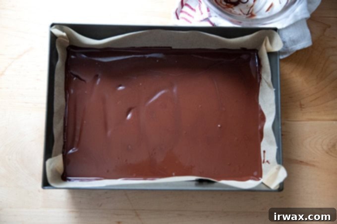 Μέντα Φλοιός με Σκόνη Μέντας 9 A layer of melted dark chocolate spread into a 10x14-inch pan.