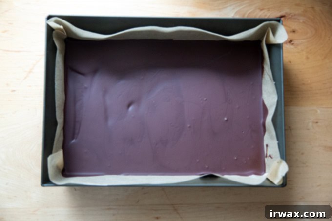 Μέντα Φλοιός με Σκόνη Μέντας 10 A layer of chilled set dark chocolate in a 10x14-inch pan.