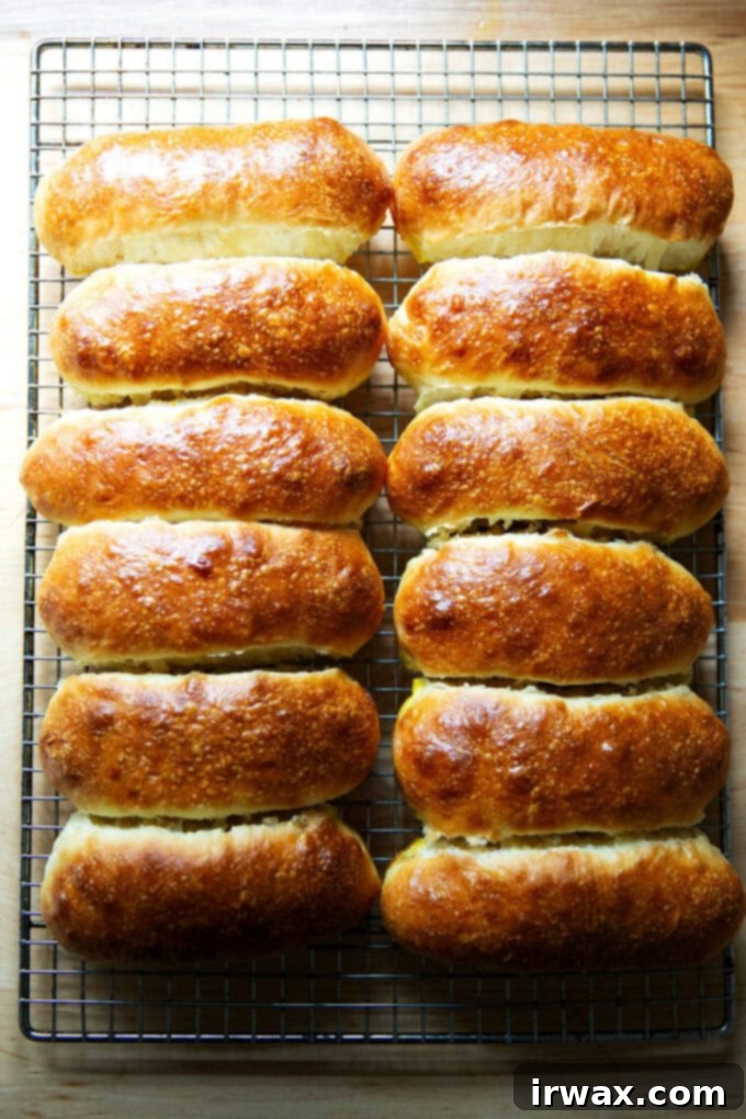 Πανεύκολα Σπιτικά Ψωμάκια Μπριός για Hot Dog 2 Δώδεκα φρεσκοψημένα ψωμάκια μπριός για hot dog σε σχάρα ψύξης.