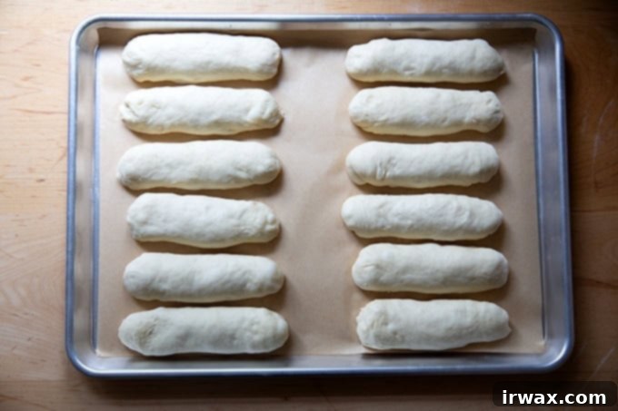 Πανεύκολα Σπιτικά Ψωμάκια Μπριός για Hot Dog 15 Ψωμάκια μπριός σε ταψί, έτοιμα για το τελικό φούσκωμα.