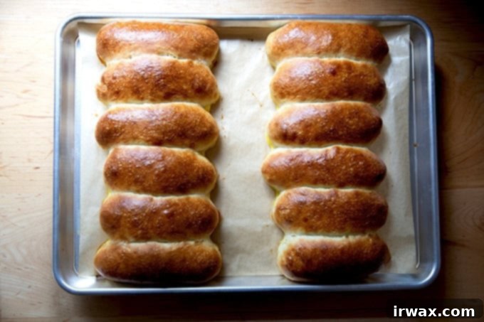 Πανεύκολα Σπιτικά Ψωμάκια Μπριός για Hot Dog 17 Φρεσκοψημένα ψωμάκια μπριός για hot dog σε ταψί.