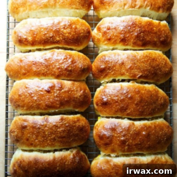 Πανεύκολα Σπιτικά Ψωμάκια Μπριός για Hot Dog 21 Δώδεκα φρεσκοψημένα ψωμάκια μπριός για hot dog σε σχάρα ψύξης.