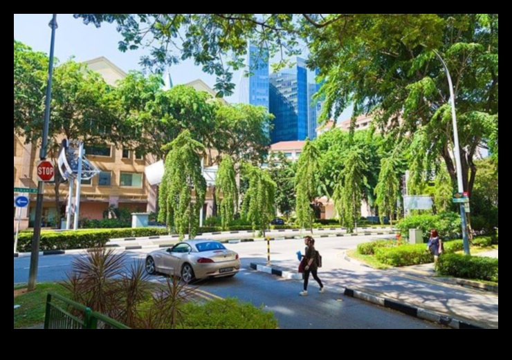 Αστική Χλωρίδα: Φυτά και λουλούδια στα πάρκα της πόλης