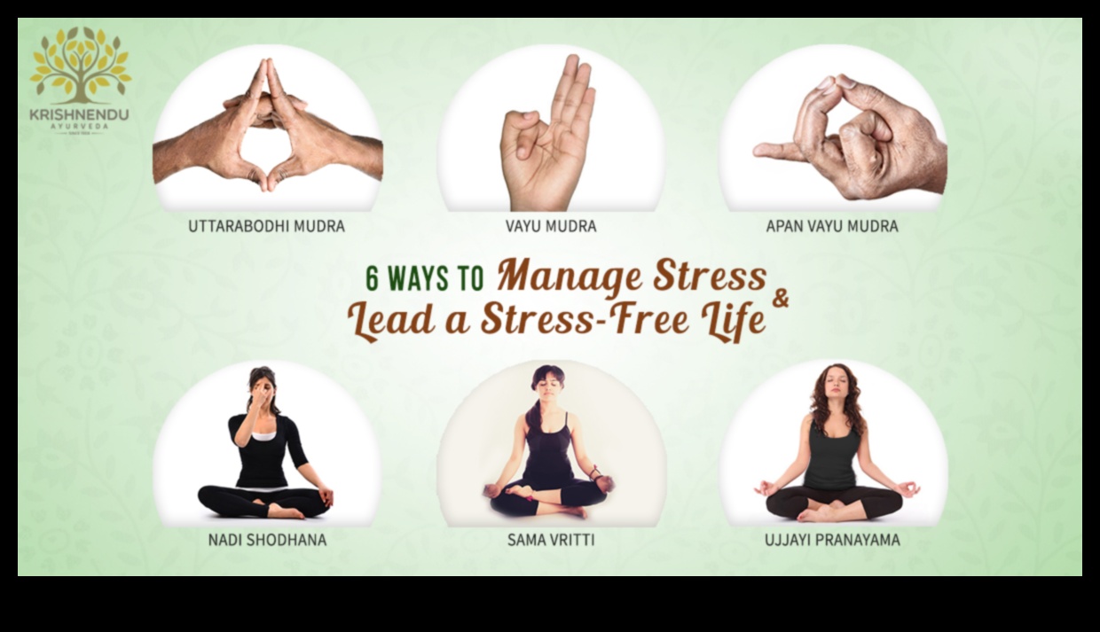 Calm Oasis 5 Τεχνικές διαλογισμού για μια ζωή χωρίς άγχος 3 Calm Oasis: Τεχνικές διαλογισμού για ζωή χωρίς άγχος