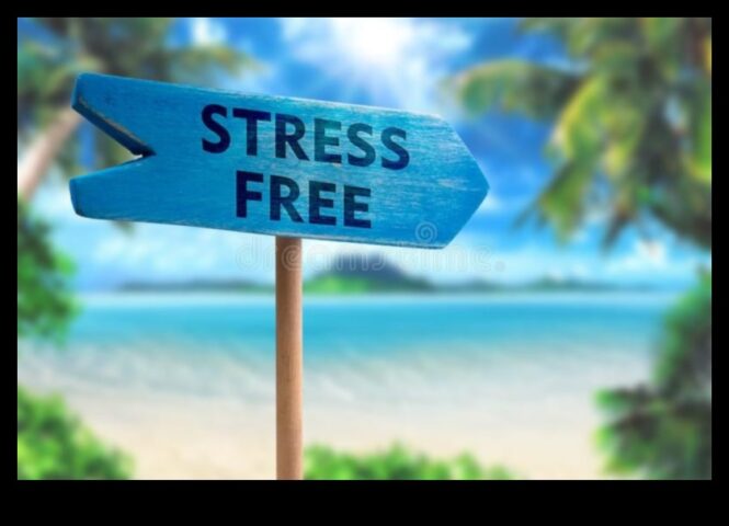 Calm Oasis 5 Τεχνικές διαλογισμού για μια ζωή χωρίς άγχος