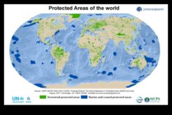 Προστατευόμενες Περιοχές Καταφύγια της Φύσης