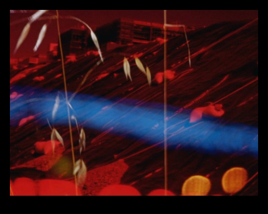 Melodic Landscapes An Exploration of Sound and Place 5 Μελωδικά Τοπία: Η Συμφωνία της Φύσης στη Μουσική