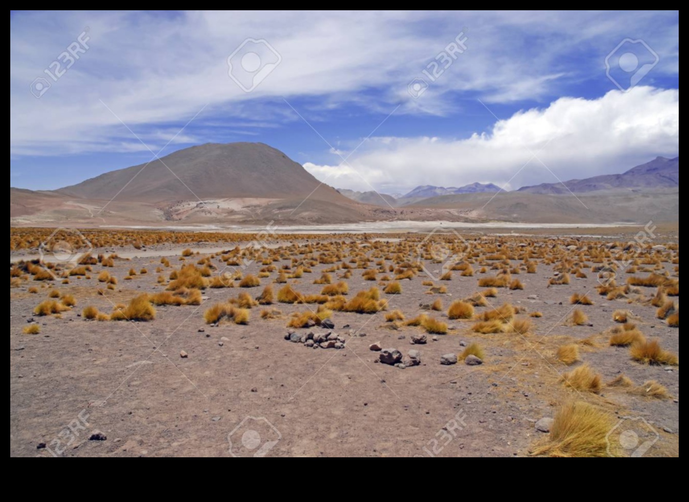 Embracing the Desert: Beauty in Arid Landscapes
