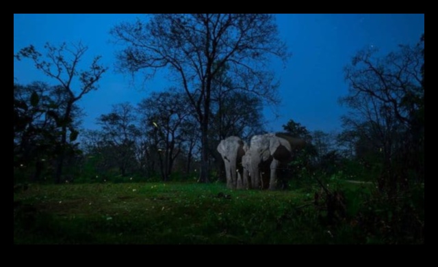 Ο φυσικός κόσμος στο επίκεντρο 3 Ψηφιακή Τέχνη Εμπνευσμένη από τη Φύση: Pixels of Natural Beauty