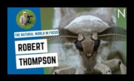 Ο φυσικός κόσμος στο επίκεντρο