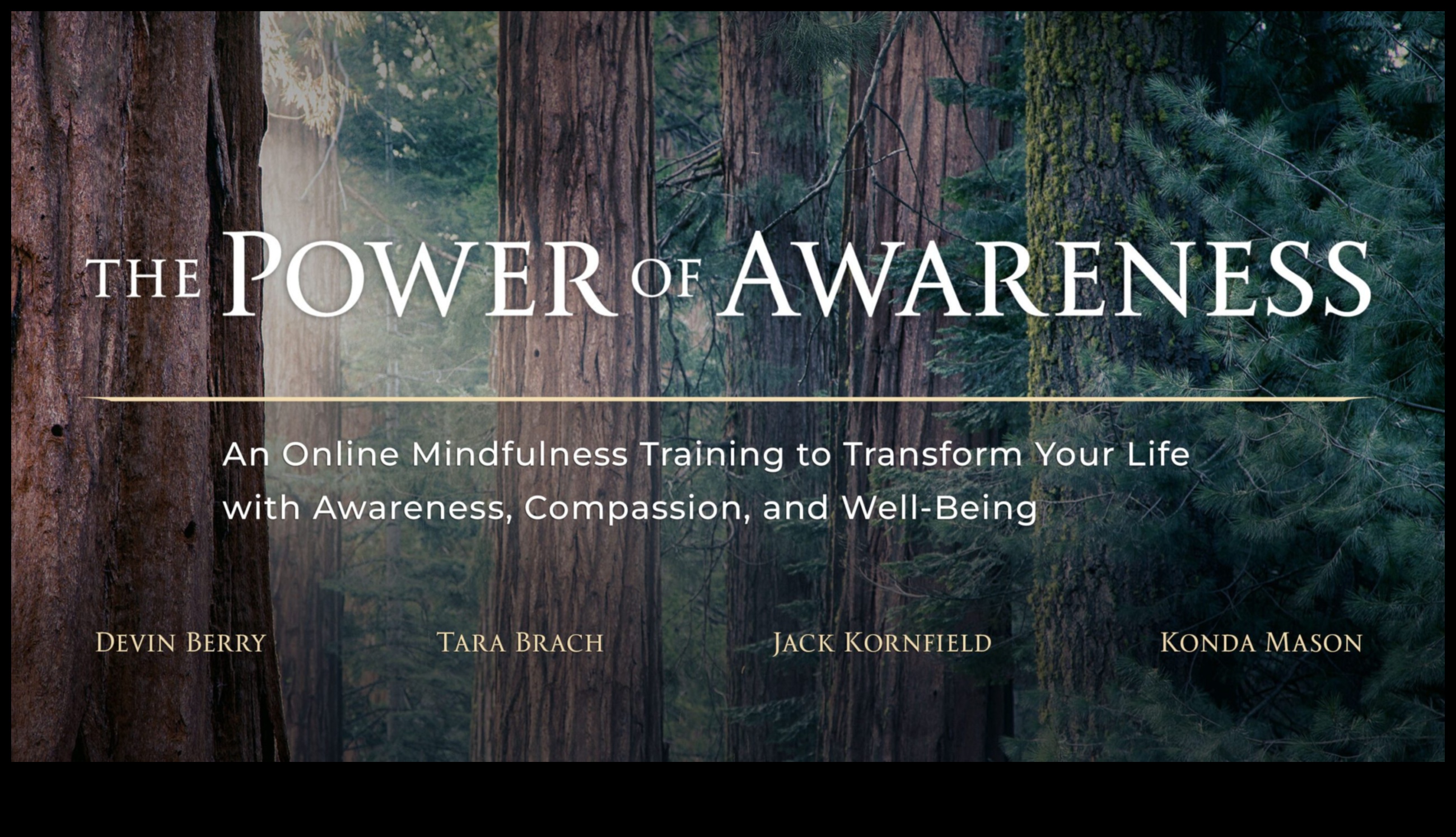 Ενσυνείδητη Υπέρβαση Ανυψώστε το ταξίδι σας μέσα από τη δύναμη της επίγνωσης 2 Mindful Transcendence: Ανυψώνοντας το ταξίδι σας μέσω της δύναμης της επίγνωσης