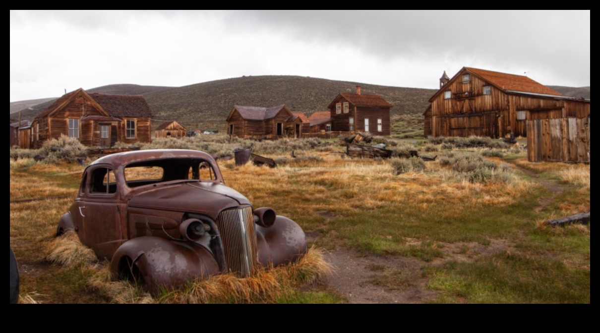 Reclaimed Ruins: Nature's Exeover in Abandoned Landscapes