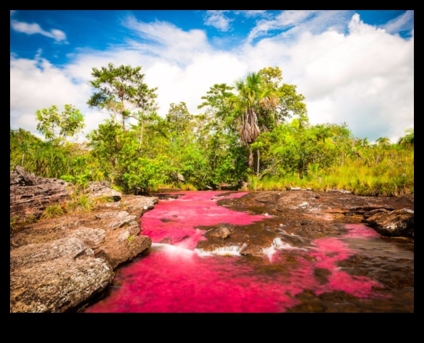 Ένας κόσμος φυσικής ομορφιάς 3 Ήρεμες αποδράσεις: Μια γαλήνια συλλογή από όμορφα τοπία