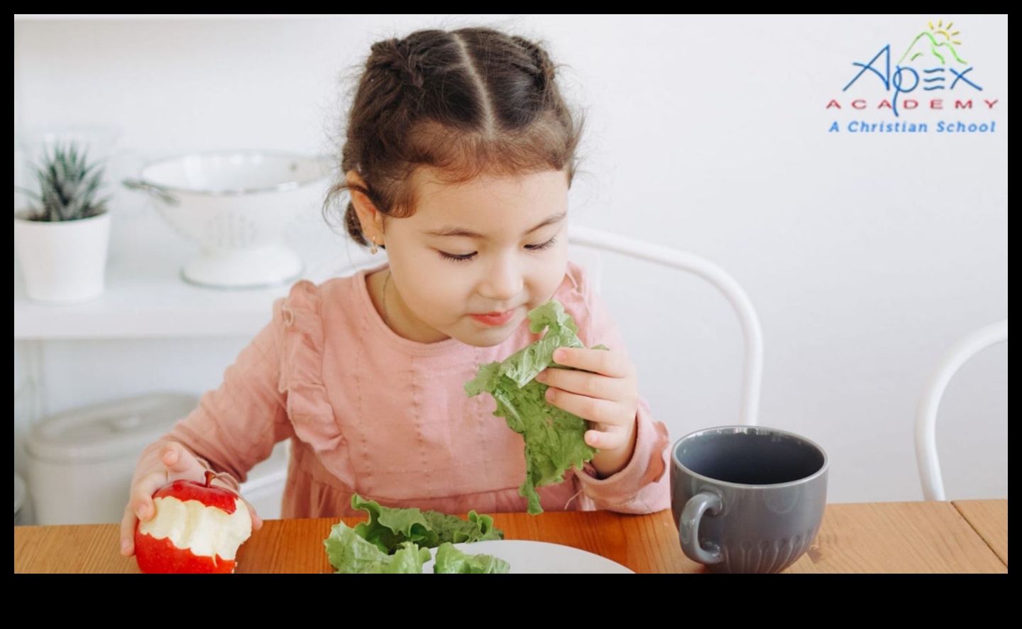 Wholesome Wonders: Βρεφική τροφή πλούσια σε θρεπτικά συστατικά για ευεξία