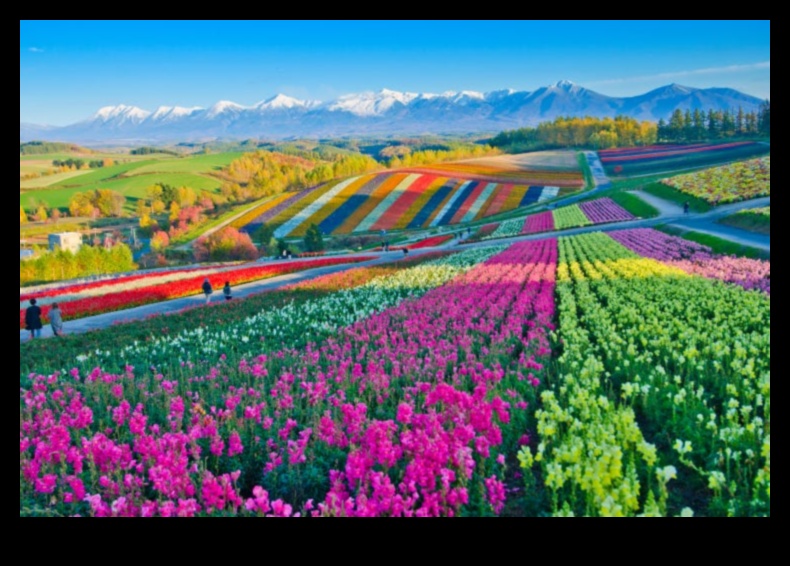 Ζωντανές προοπτικές: Εξερευνώντας τα πολύχρωμα και δυναμικά τοπία της Γης