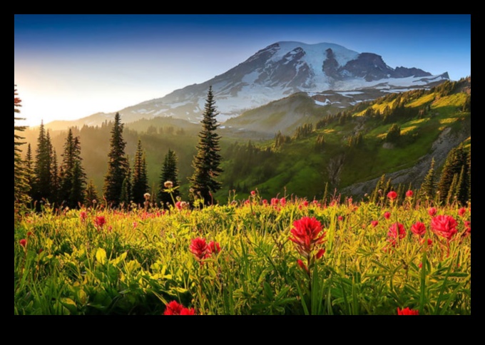 Σαγηνευτικά τοπία: Μια οπτική γιορτή των θαυμάτων της φύσης