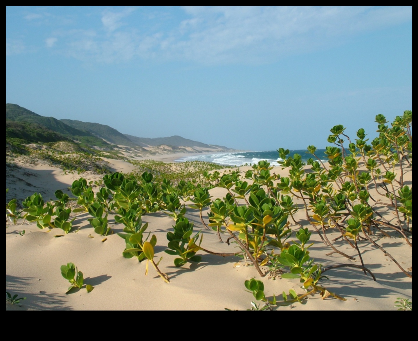 Γιατί οι εκβολές ποταμών είναι σημαντικά συστατικά των υδάτινων τοπίων;