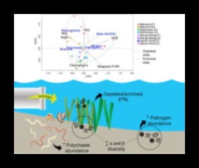 Γιατί οι εκβολές ποταμών είναι σημαντικά συστατικά των υδάτινων τοπίων;