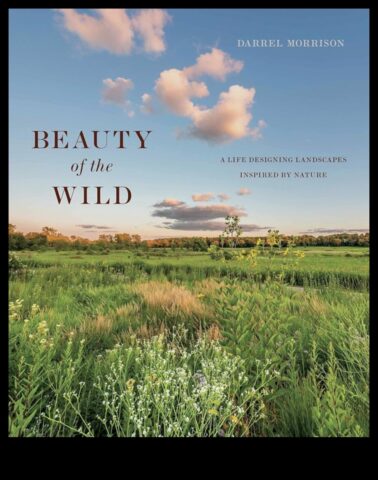 Η Ομορφιά της Άγριας