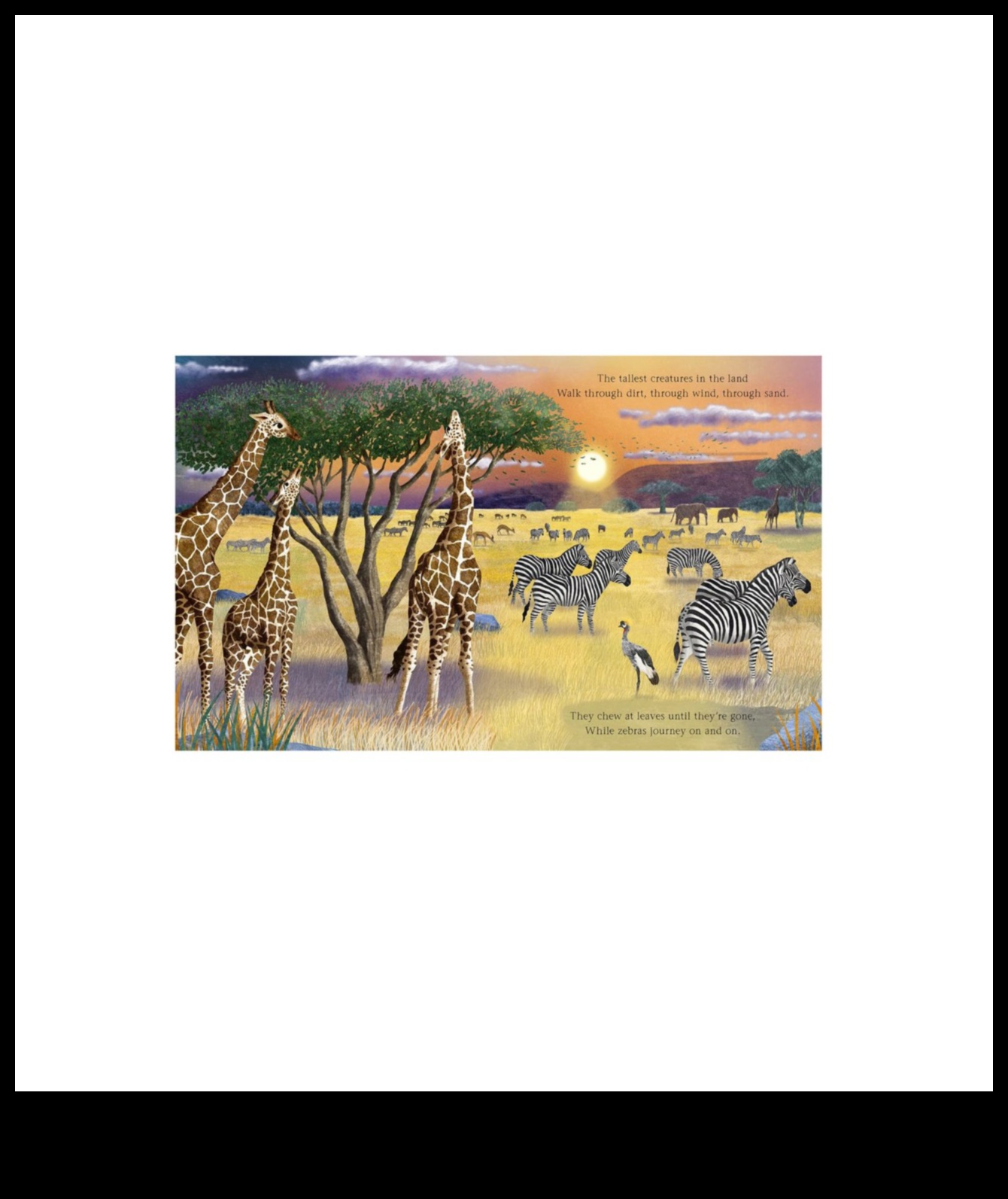 Epic Nature Adventures: A Compilation of Spectacular Landscape Views