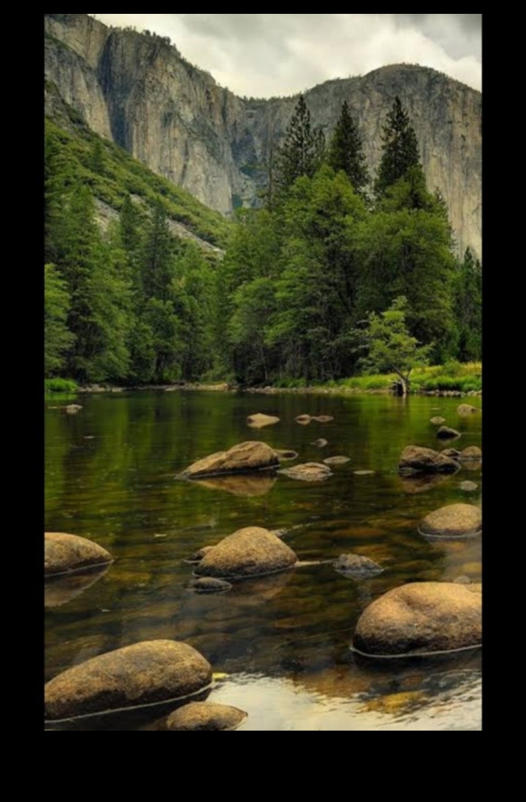 Dynamic Landscapes in Motion: Nature's Ever-Anging Beauty