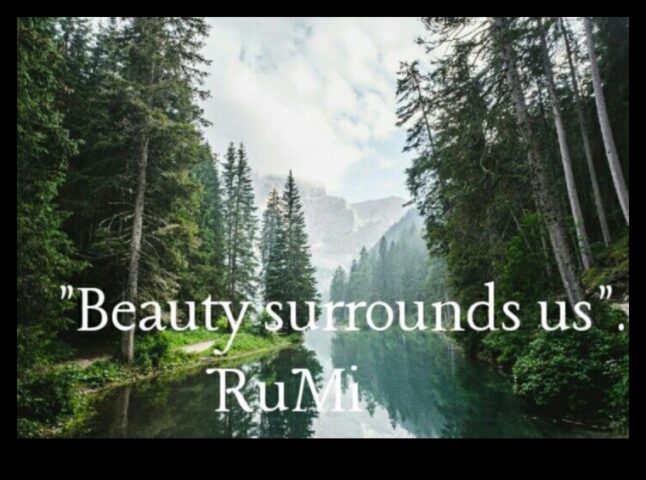 Φύση Η ομορφιά που μας περιβάλλει